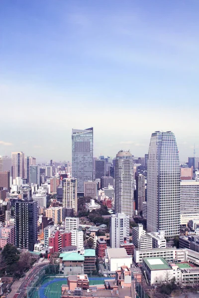 Вид Воздуха Токио Столицу Японии Азию Вид Токийской Башни Фотография — стоковое фото