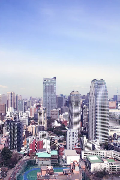 Vista Aérea Tóquio Capital Japão Ásia Vista Torre Tóquio Foto — Fotografia de Stock