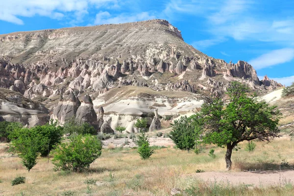 Hermoso Paisaje Con Chimenea Hadas Champiñones Piedra Multihead Pasabag Valley —  Fotos de Stock