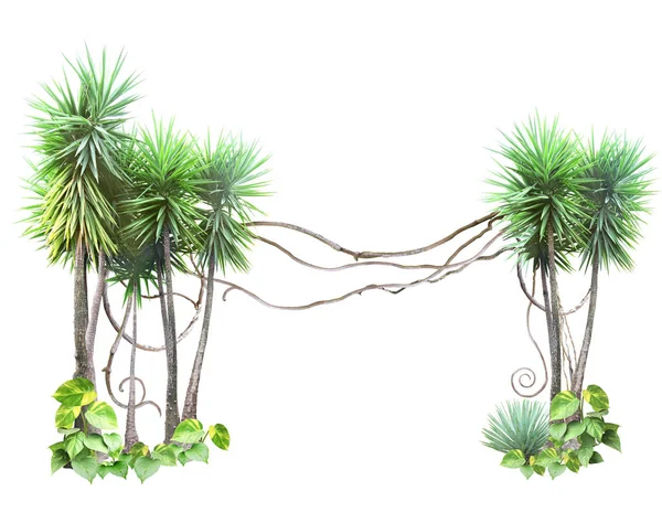 リアナの枝と熱帯の葉のフレーム ジャングルの植物とのエキゾチックな境界とテキストのためのスペースをコピーします 白い背景に隔離されている テンプレートをモックアップ — ストック写真