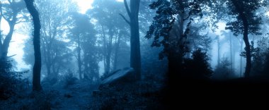 Yatay afiş ve gece doğası sahnesi. Sisli ormanda ağaçların ve çalıların olduğu gizemli bir manzara. Fotoğraf mavi tonda.