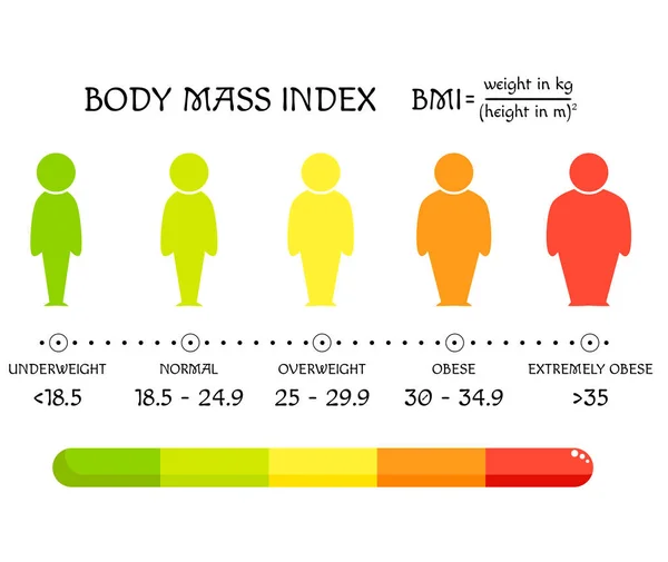 Bmi Concept Body Shapes Underweight Extremely Obese Weight Loss Silhouettes — Stock Vector