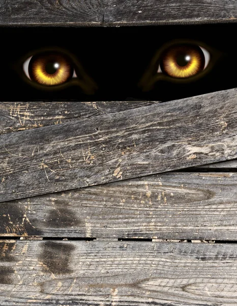 Vertikální Halloween Pozadí Starými Dřevěnými Deskami Očima Monstra Tmě Vlkodlak — Stock fotografie