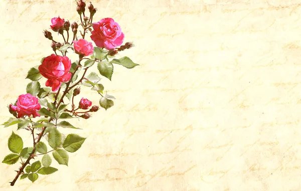 古い紙の質感とバラとヴィンテージロマンチックなカード 赤いバラの花とレトロなポストカード テンプレートをモックアップします テキストのコピースペース — ストック写真