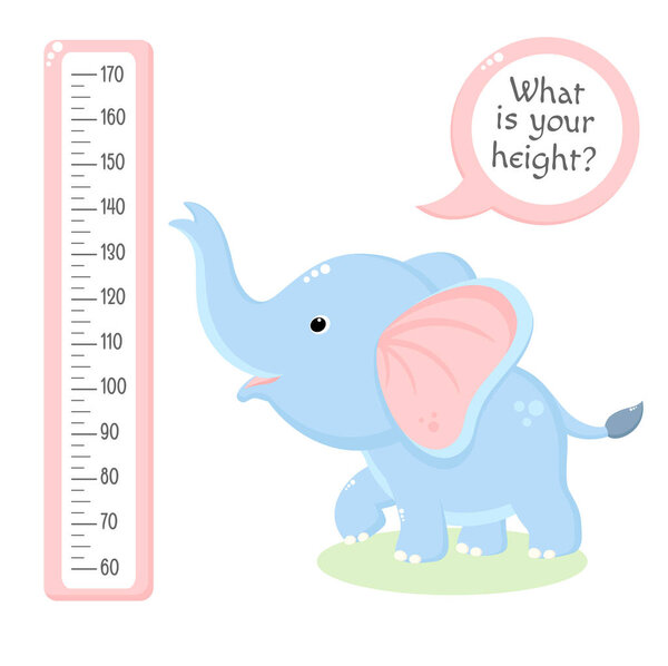 Height chart with cute baby elephant. Kids meter with cartoon animal. Inscription - What is your height? Meter wall or baby scale of growth. Vector EPS8