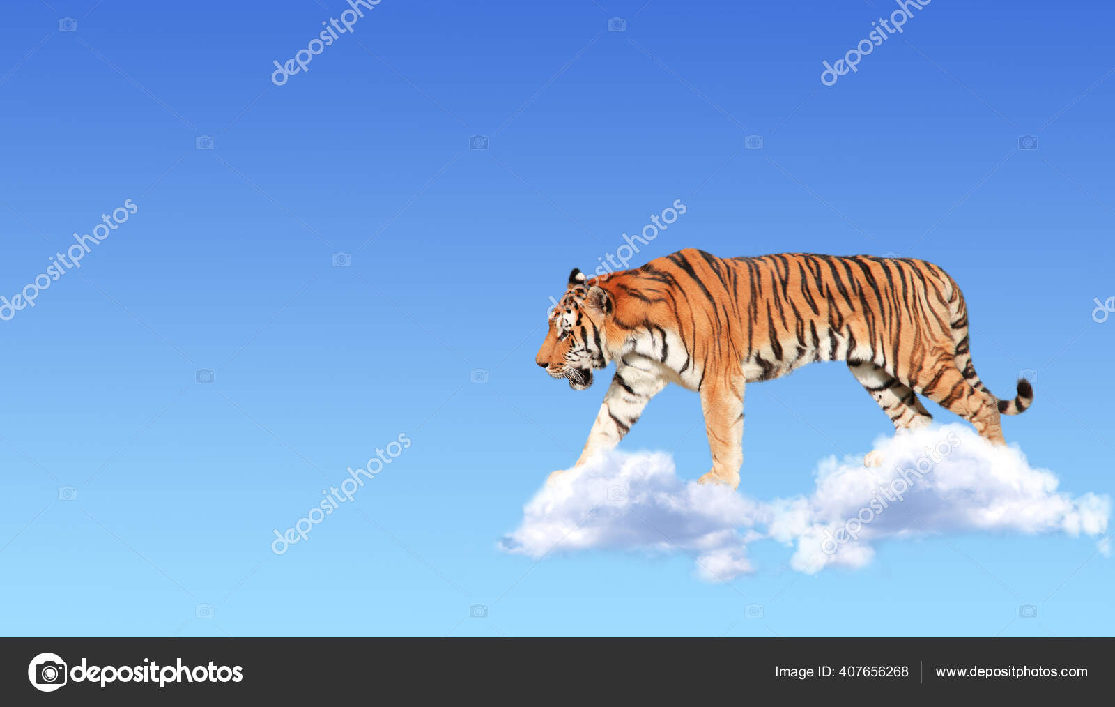 Horizontal Banner Tiger Clouds Blue Sky Background Cute Tiger Sky Stock  Photo by ©frenta 407656268