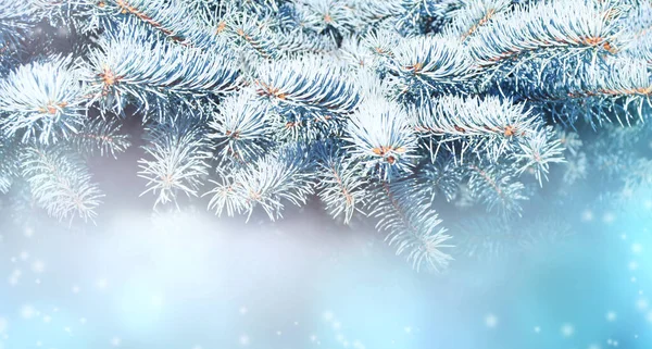 Poziome Tło Świąteczne Gałązką Jodły Świąteczny Baner Sosną Abstrakcyjnym Tle — Zdjęcie stockowe