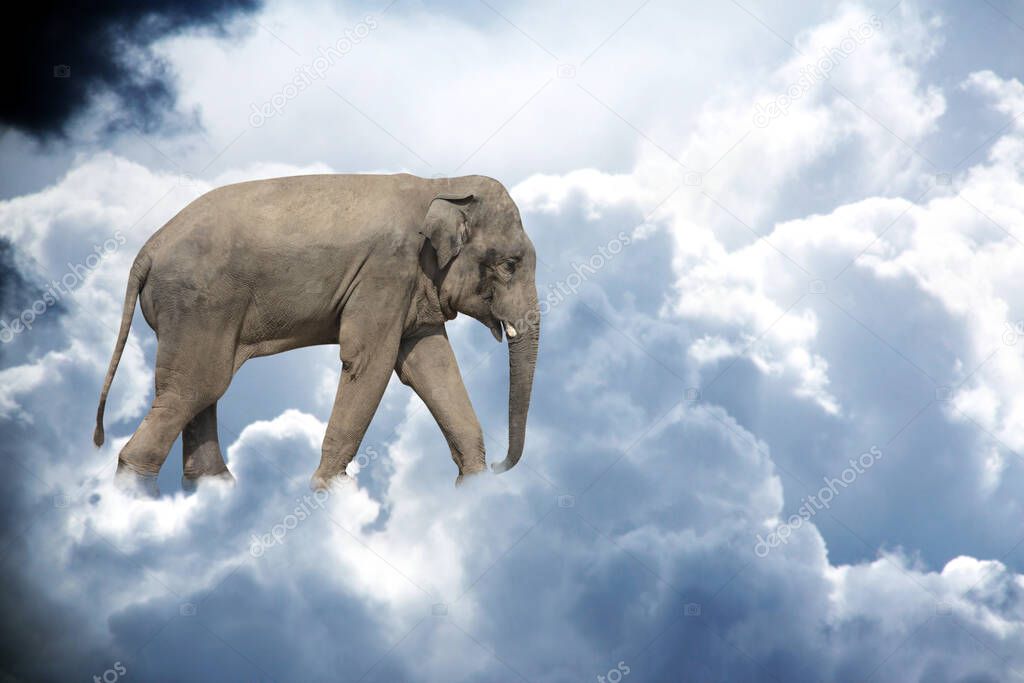 Horizontal banner with elephant above stormy cumulonimbus. Cute elephant in the sky. Fantastic scene with an elephant walking on the clouds. Mock up template. Copy space for text