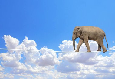 Risk kavramını yönetmek. Mavi arka planda ipte yürüyen bir fil. Bulutların üzerinde ip üzerinde sevimli bir fil.