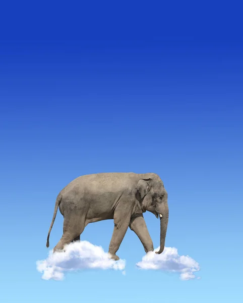 Bandiera Verticale Con Elefante Sopra Nuvole Sfondo Cielo Blu Simpatico — Foto Stock