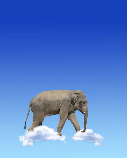 Verticale Banner Met Olifant Boven Wolken Blauwe Lucht Achtergrond Leuke — Stockfoto