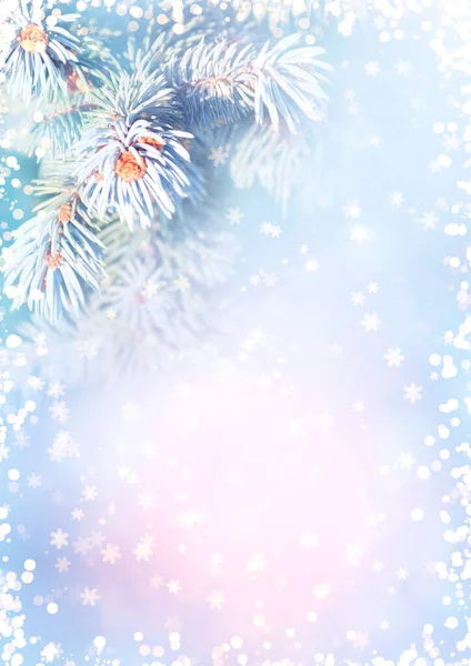 Vízszintes Karácsonyi Háttér Kék Lucfenyő Ággal Ünnepi Karácsonyi Banner Fenyőfával — Stock Fotó