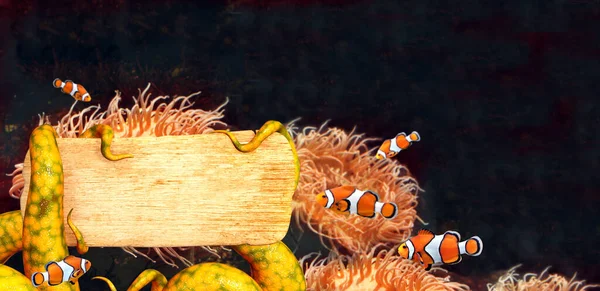 小丑鱼和章鱼触须 手持一块木板 被黑色背景隔离 有热带鱼的水平横幅 复制文本的空间 模拟模板 3D渲染 — 图库照片