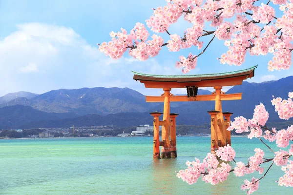 Yüzen Torii Kapısı Torii Çiçek Açan Sakuranın Beyaz Çiçekli Dalı — Stok fotoğraf