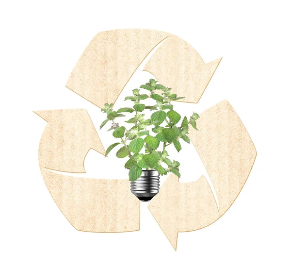 緑の葉と紙の矢印が付いている軽い球根はシンボルをリサイクルします エコテクノロジー 環境にやさしい 持続可能な環境 省エネルギー 資源コンセプト 白い背景に隔離される — ストック写真
