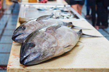 Mercado dos Lavradores Funchal, Madeira Adası, Portekiz Atlantik orkinos geleneksel Balık pazarı
