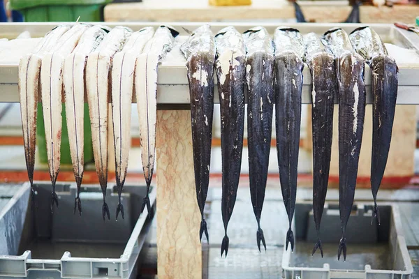 Північноатлантична Largehead Hairtails Також Називається Espada Португальською Мовою Традиційні Рибні — стокове фото