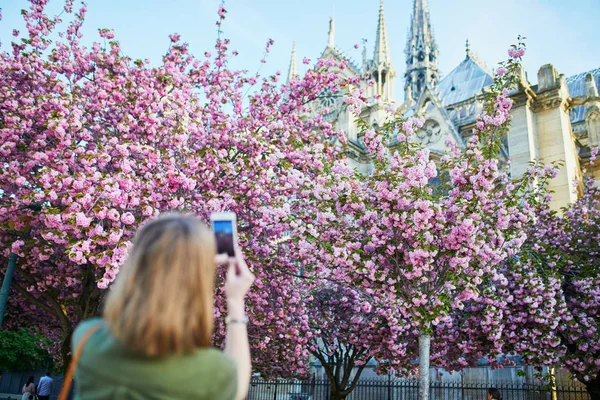 観光は春の日にパリのノートルダム大聖堂の近くの桜の写真を撮影 — ストック写真
