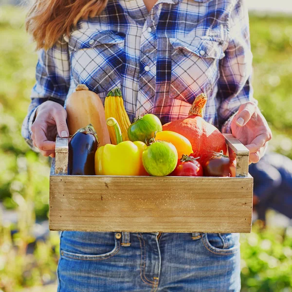 農場から新鮮な有機野菜を使った木箱を保持している女性 — ストック写真