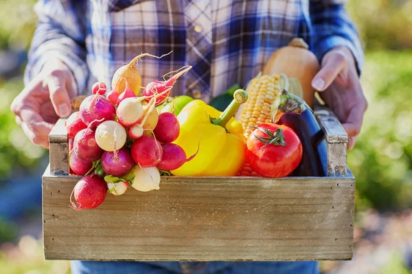 Woman Holding Wooden Crate Fresh Organic Vegetables Farm — Stock Photo, Image