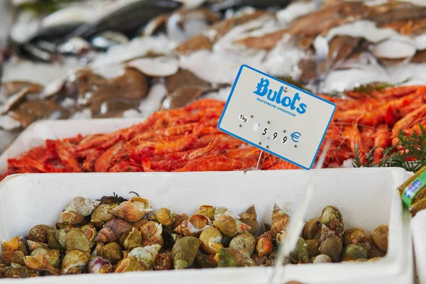 Caracoles Frescos Buccinidae Mercado Agricultores París Francia Mercado Típico Europeo —  Fotos de Stock