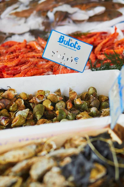 Świeże Buccinidae Ślimaki Rynku Farmer Paryżu Typowe Ryby Europejskiego Rynku — Zdjęcie stockowe