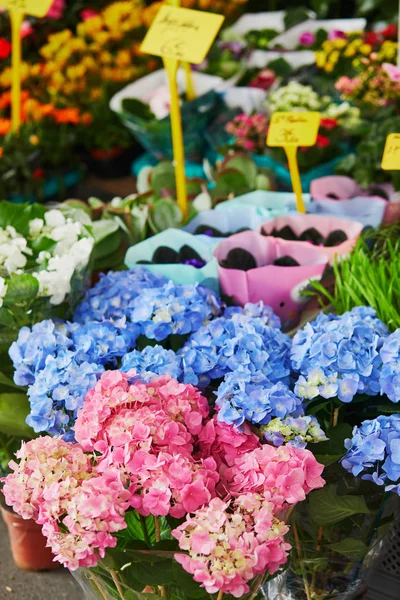 フランスの農民市場でアジサイの花 典型的なヨーロッパのフラワー ショップ — ストック写真