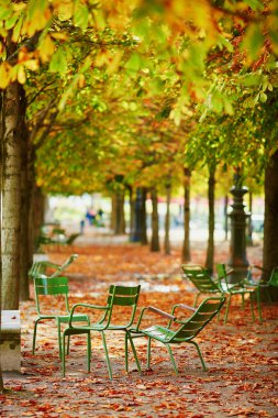 Green chairs under yellow and orange chestnut trees in Tuileries garden of Paris on a bright fall day clipart