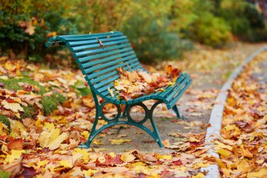 Many autumn fallen leaves on bench in Montsouris park, Paris, France on a fall day