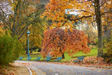 Montsouris Park, Paris, Fransa, bir sonbahar gününde renkli sonbahar ağaçlar