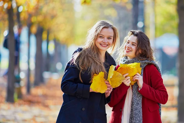Zwei Junge Mädchen Gehen Einem Sonnigen Herbsttag Herbstpark Spazieren Freundschaftskonzept — Stockfoto
