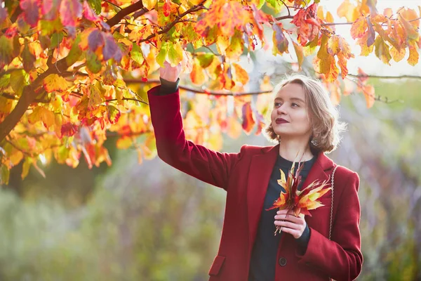 Hermosa Mujer Joven Con Racimo Hojas Coloridas Otoño Caminando Parque — Foto de Stock