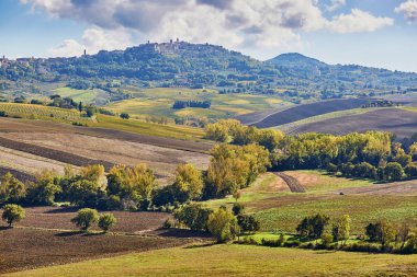 Doğal Tuscan manzara güzel alanlar, çayırlar ve tepeler. San Quirico d'Orcia, Toskana, İtalya