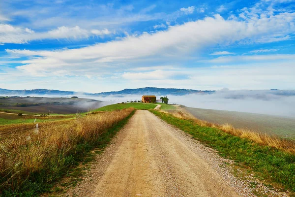 Paisaje Escénico Toscano Con Hermosos Campos Prados Colinas Con Nieblas —  Fotos de Stock