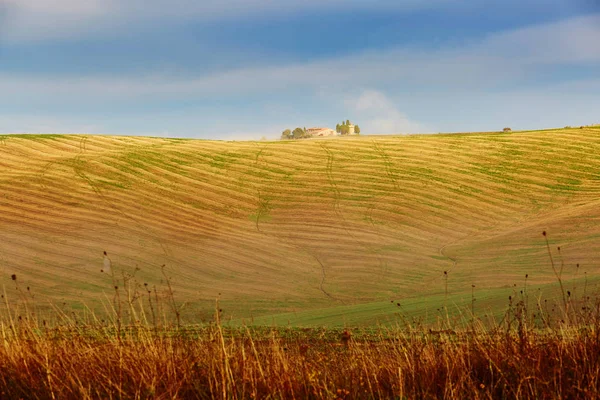 风景秀丽的托斯卡纳景观 美丽的田野 草地和丘陵 意大利托斯卡纳的圣 Quirico 瓦道尔 — 图库照片