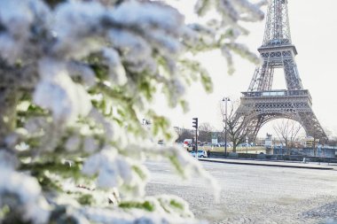 Noel ağacı Paris, Fransa'da Eyfel Kulesinin yakınında kar ile kaplı