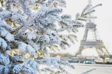 Noel ağacı Paris, Fransa'da Eyfel Kulesinin yakınında kar ile kaplı