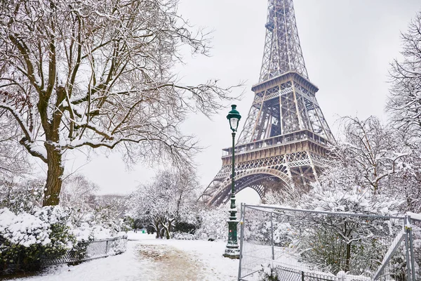 바라보는 파리의 — 스톡 사진