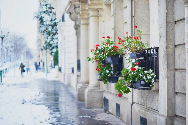 Snöfall Paris Parisisk Gata Snön Ovanliga Väderförhållanden Frankrike — Stockfoto