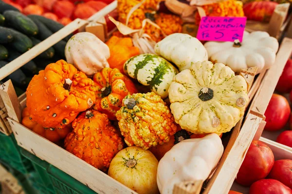 農家の市場で新鮮な有機野菜や果物 一般的なヨーロッパの家庭用栽培製品市場 — ストック写真