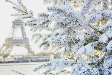 Noel ağacı Paris, Fransa'da Eyfel Kulesinin yakınında kar ile kaplı