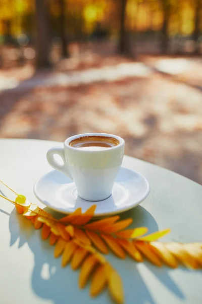 Csésze Eszpresszó Kávé Asztalon Sárga Levelek Egy Őszi Napon Hagyományos — Stock Fotó
