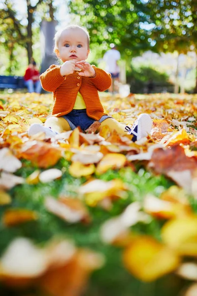 Nettes Kleines Mädchen Das Einem Schönen Herbsttag Spaß Hat Kind — Stockfoto