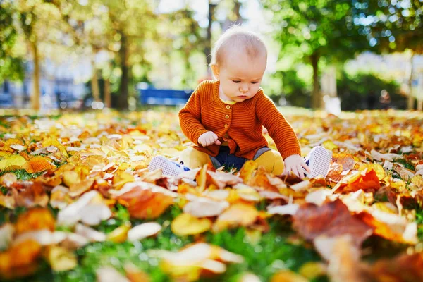 Cute Little Girl Zabawy Piękny Dzień Jesieni Dziecko Bawiące Się — Zdjęcie stockowe