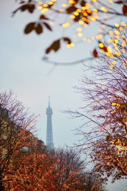 Kış tatil sezon Fransa. Eyfel Kulesi Paris Noel aydınlatmalı doğal görünümünü