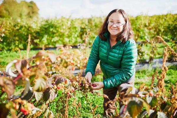 幸せな中年の女性の農場でラズベリーを収集 — ストック写真