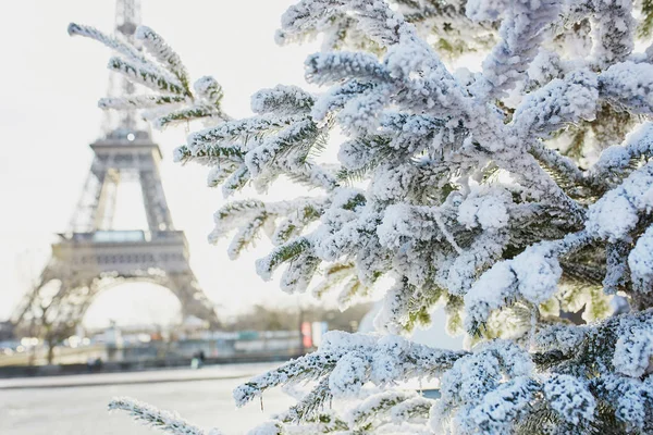 Christmas Tree Covered Snow Eiffel Tower Paris France — Stock Photo, Image