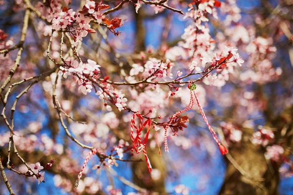 Ramo Árvore Cereja Florescente Com Martisor Vermelho Branco Símbolo Tradicional — Fotografia de Stock