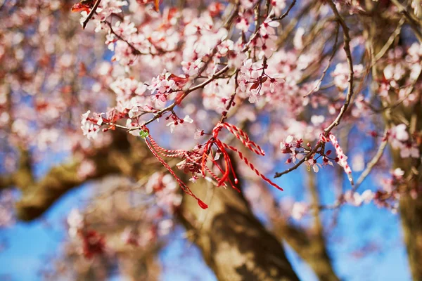 Gren Blommande Körsbär Träd Med Röda Och Vita Martisor Traditionella — Stockfoto