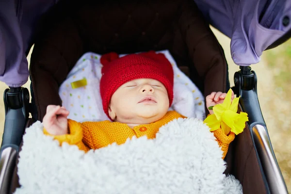 Mês Idade Bebê Menina Dormindo Perambulator Segurando Flor Sua Mão — Fotografia de Stock